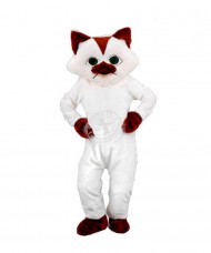 Kostüm Katze Maskottchen 14 (Promotion) 	
