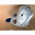Kostüm Drache Maskottchen 15 (Werbefigur)