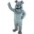 Kostüm Hund Bulldogge Maskottchen 6 (Werbefigur)