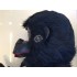 Verleih Kostüm Gorilla mit Mann (King Kong)