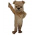 Kostüm Hund Bulldogge Maskottchen 11 (Professionell)