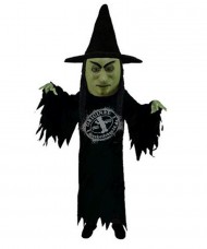 Person Hexer Kostüm 1 (Professionell)