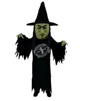 Person Hexer Kostüm 1 (Professionell)