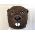 Otter Maskottchen Kostüm 1 (Professionell)