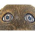 Otter Maskottchen Kostüm 1 (Professionell)