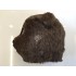 Otter Maskottchen Kostüm 1 (Professionell)