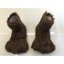 Otter Maskottchen Kostüm 1 (Professionell)