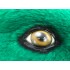 Maskottchen Dinosaurier Kostüm 4 (Werbefigur)