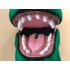 Maskottchen Dinosaurier Kostüm 4 (Werbefigur)