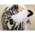 Maskottchen Leopard 4