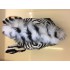 Verleih Kostüm Zebra 1