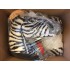 Verleih Kostüm Zebra 1