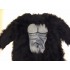 Verleih Kostüm Gorilla 6