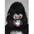 Verleih Kostüm Gorilla 6