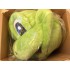 Verleih Kostüm Frosch 5