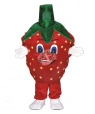 Verleih Kostüm Erdbeere