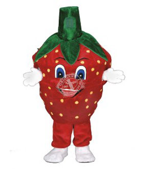 Verleih Kostüm Erdbeere