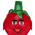 Verleih Kostüm Tomate