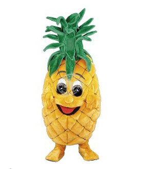 Verleih Kostüm Ananas