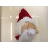 Kostüm Weihnachtsmann Maskottchen (Hochwertig)