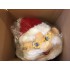 Kostüm Weihnachtsmann Maskottchen (Hochwertig)