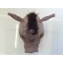Maskottchen Wildschwein Kostüm (Werbefigur)