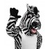 Maskottchen Zebra Lauffigur (Werbefigur)