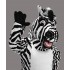 Maskottchen Zebra Lauffigur (Werbefigur)