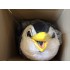 Verleih Kostüm Pinguin 7