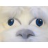 Maskottchen Yeti Kostüm 1 (Hochwertig)