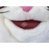 Verleih Kostüm Katze 14