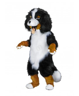 Verleih Kostüm Berner Sennenhund 27