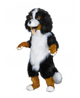 Kostüm Berner Sennenhund Maskottchen 27 (Hochwertig)