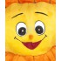 Verleih Kostüm Sonnenblume