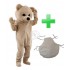 Kostüm Bär Maskottchen & Kissen 24 (Promotion)