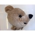 Kostüm Bär Maskottchen & Kissen 24 (Promotion)