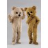 Kostüm Bär Maskottchen & Kissen 24 (Promotion)