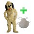 Kostüm Hund Maskottchen 33 + Kissen (Promotion)