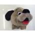 Kostüm Hund Maskottchen 33 & Kissen (Promotion)