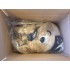 Kostüm Hund Maskottchen 33 & Kissen (Promotion)