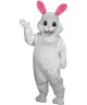 Maskottchen Kaninchen Kostüm 3 (Werbefigur)