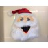 Kostüm Weihnachtsmann Maskottchen 1 (Hochwertig)
