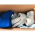 Kostüm Drache Maskottchen 15 (Werbefigur)