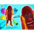 Kostüm Hotdog Maskottchen (Hochwertig)