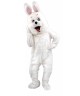 Maskottchen Hase 14