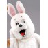 Kostüm Hasen Maskottchen 14 (Promotion)
