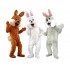Kostüm Hasen Maskottchen 14 (Hochwertig)