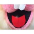 Kostüm Hasen Maskottchen 16 (Promotion)
