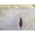 Kostüm Schneemann Maskottchen 1 (Hochwertig)