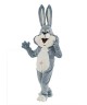 Maskottchen Hase 11